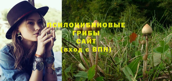 прущая мука Армянск