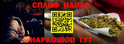 прущие грибы Бийск