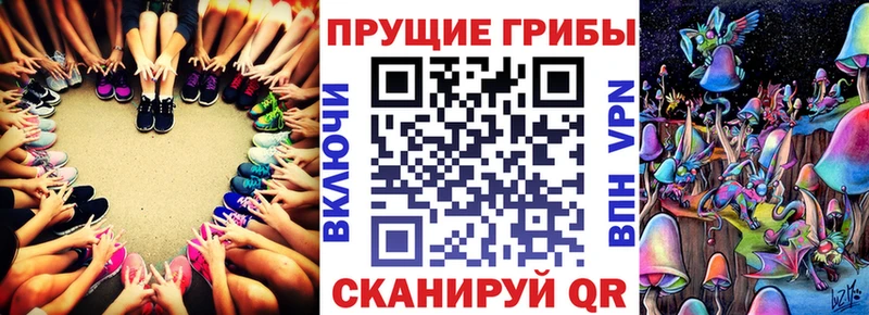 цена наркотик  Волгодонск  Псилоцибиновые грибы MAGIC MUSHROOMS 