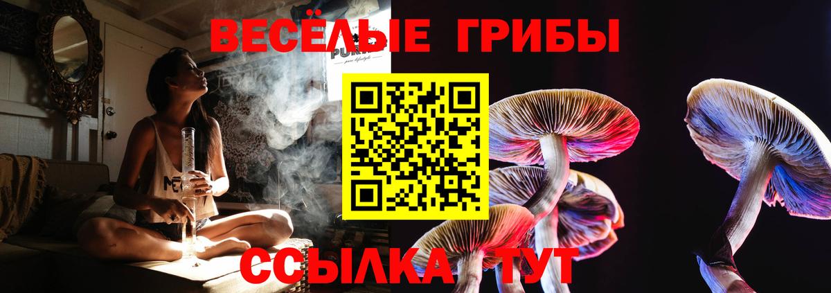 где купить наркотик  Вход с VPN  Волгодонск  Псилоцибиновые грибы MAGIC MUSHROOMS 